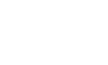 Flying Fish